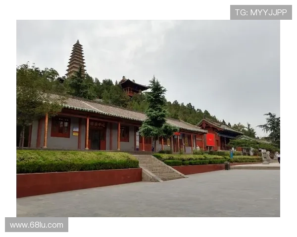 鸟栖砂岩与仙台的对比分析及其文化历史影响探讨